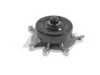 JEEP 53022189AA Water Pump